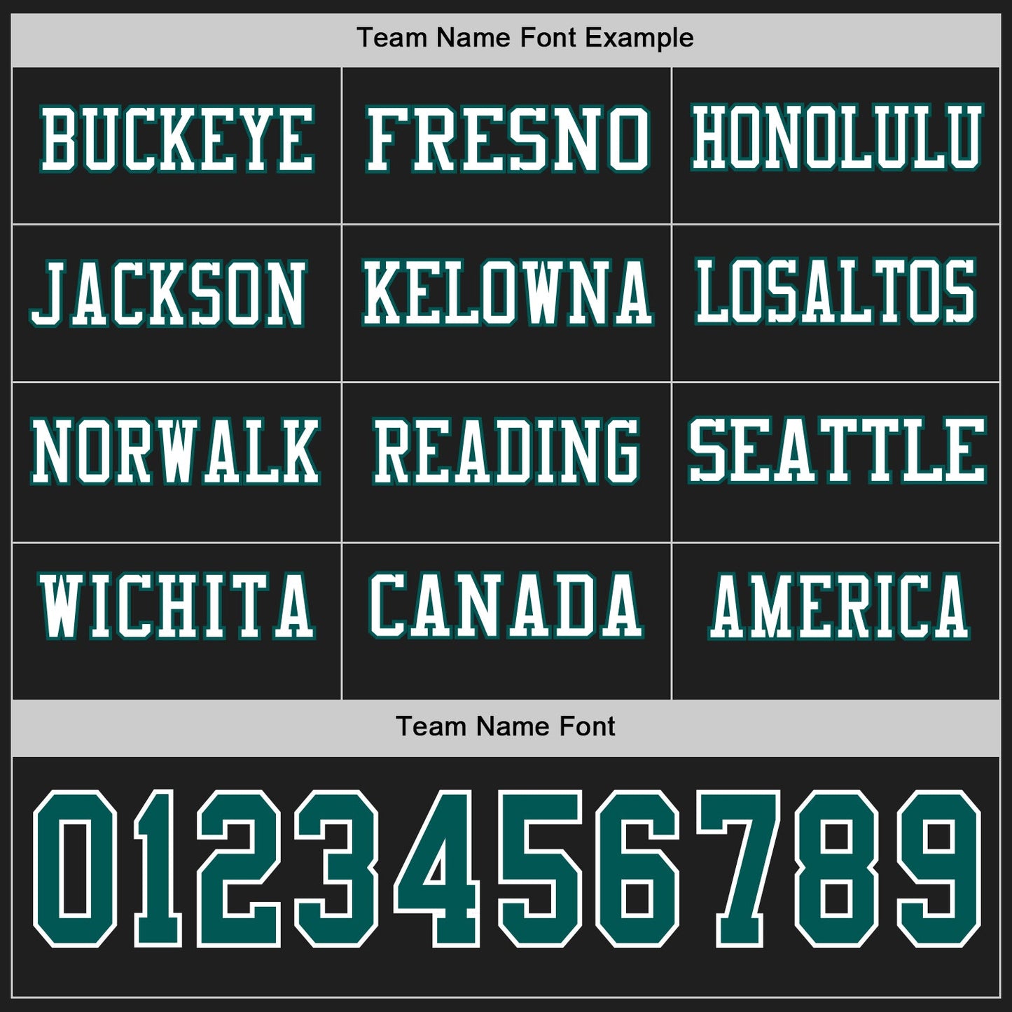 Custom Black Midnight Green-White Long Sleeve Authentic Football Jersey