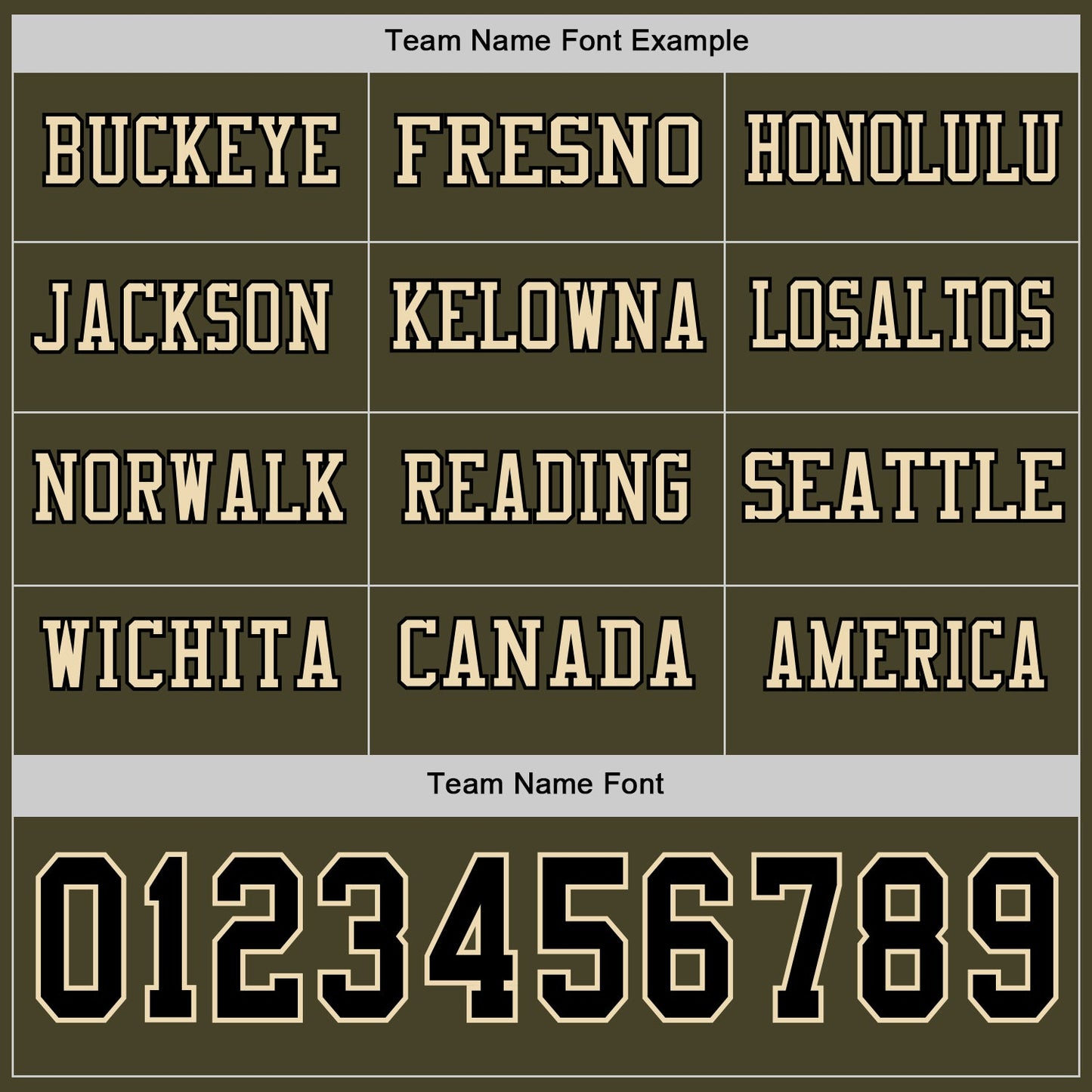 Custom Olive Black-Cream Long Sleeve Salute To Service Authentic Football Jersey