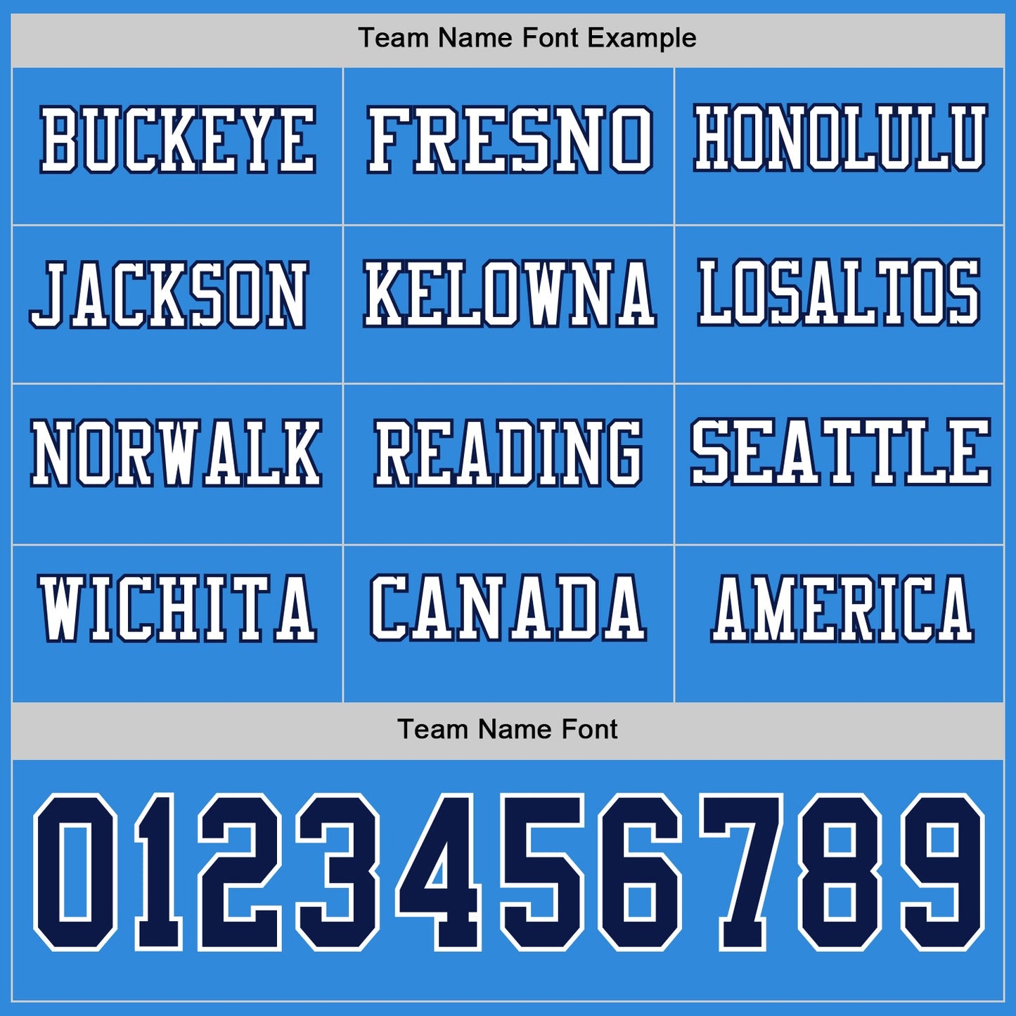 Custom Powder Blue Navy-White Long Sleeve Authentic Football Jersey