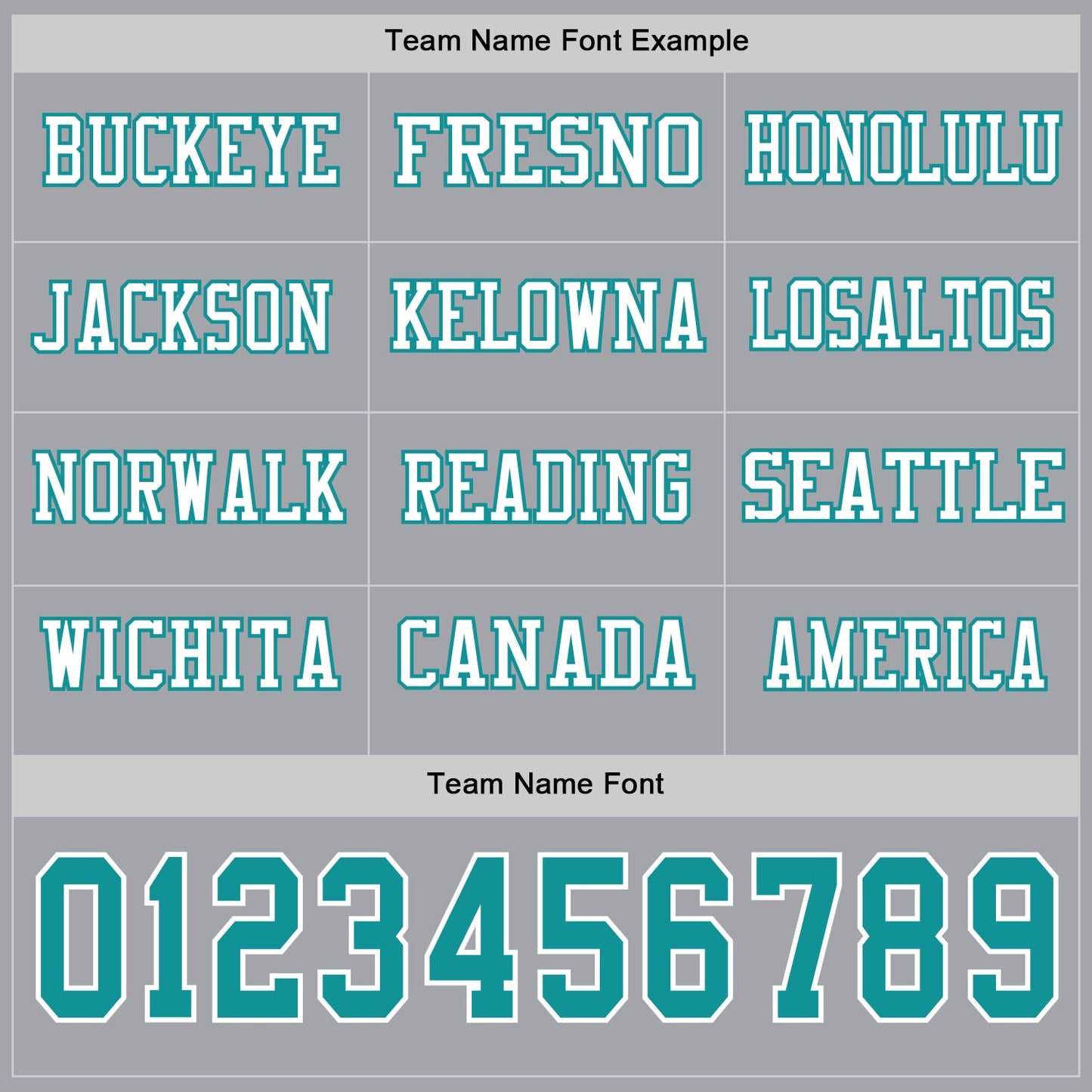Custom Gray Teal-White Long Sleeve Authentic Football Jersey
