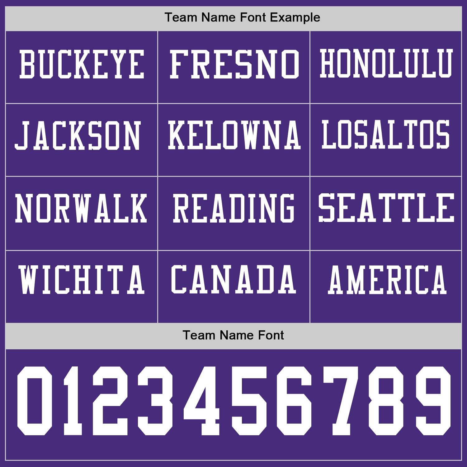 Custom Purple White Long Sleeve Authentic Football Jersey