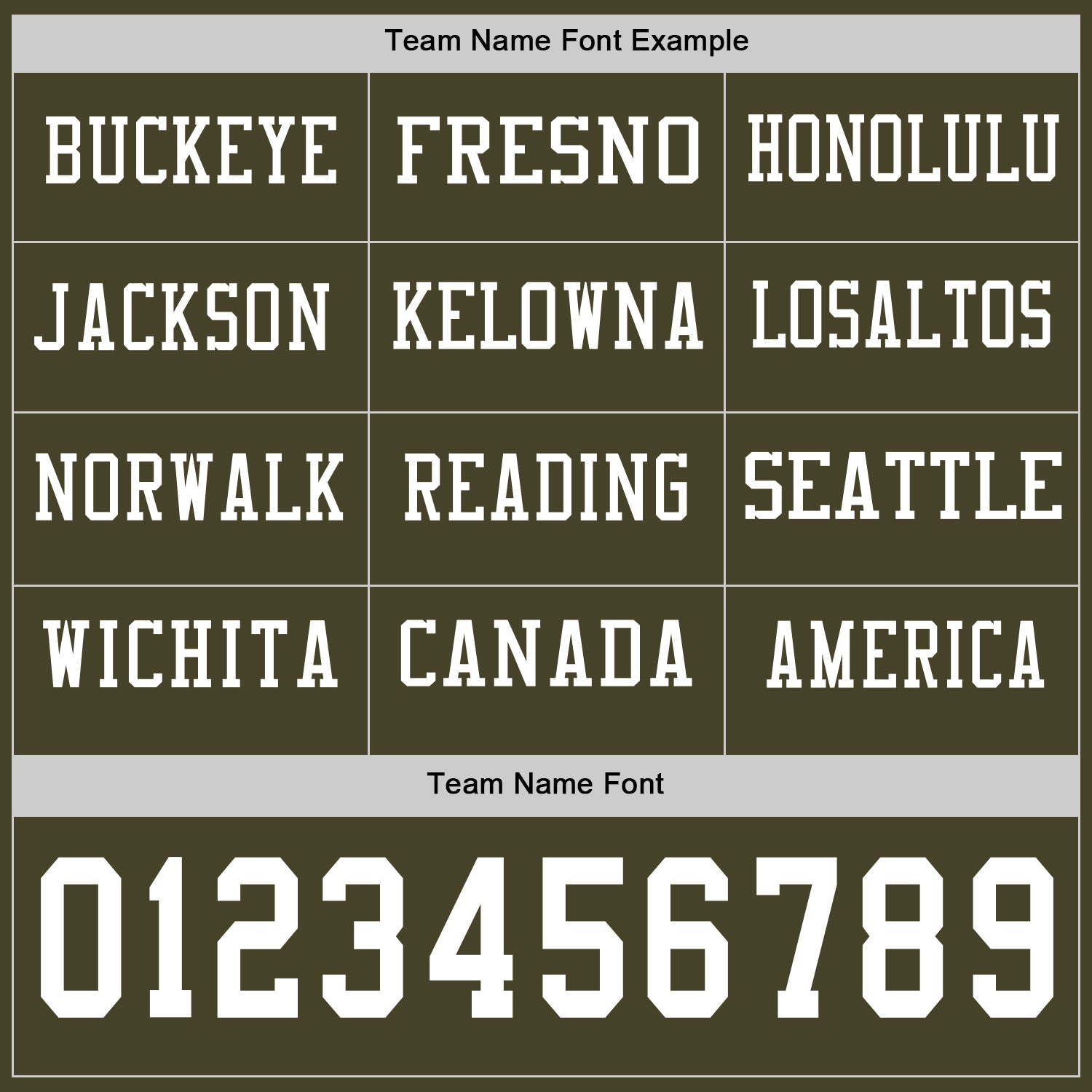 Custom Olive White Long Sleeve Salute To Service Authentic Football Jersey