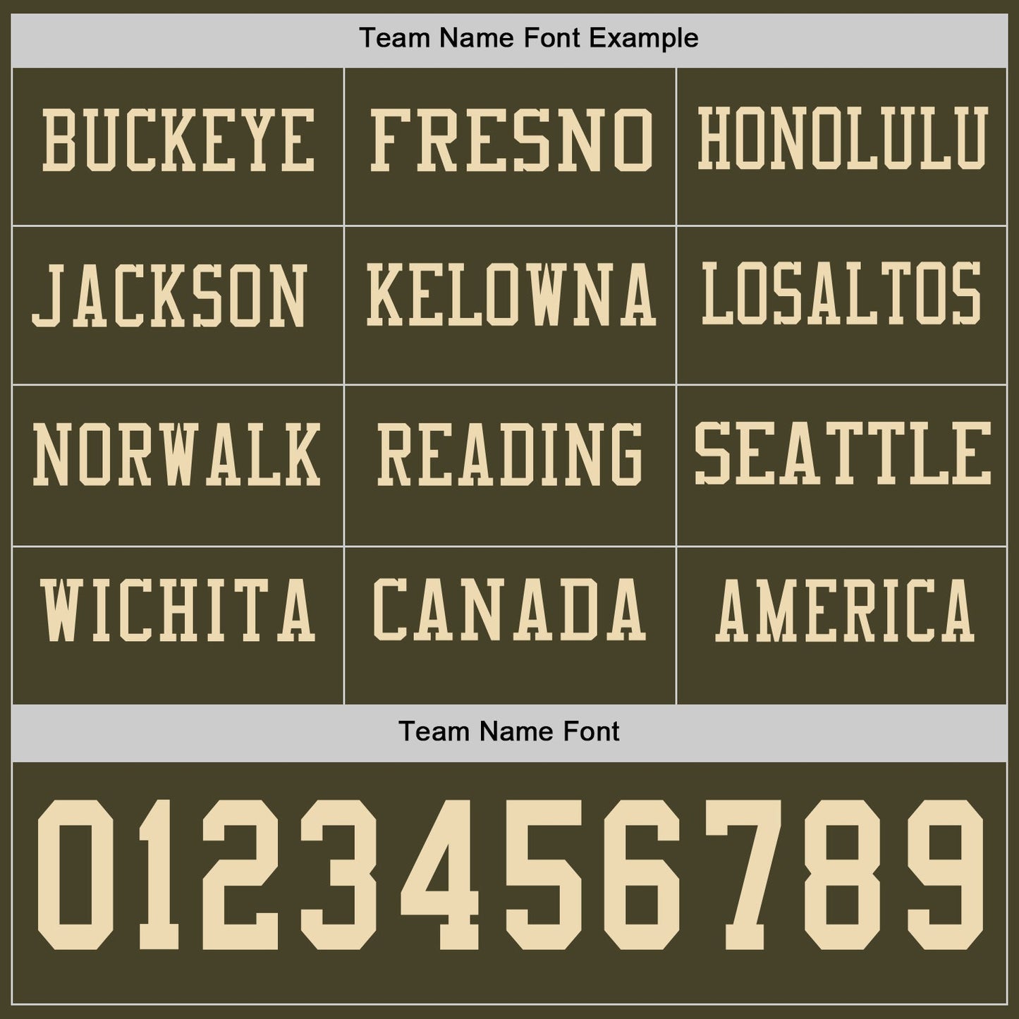 Custom Olive Cream Long Sleeve Salute To Service Authentic Football Jersey