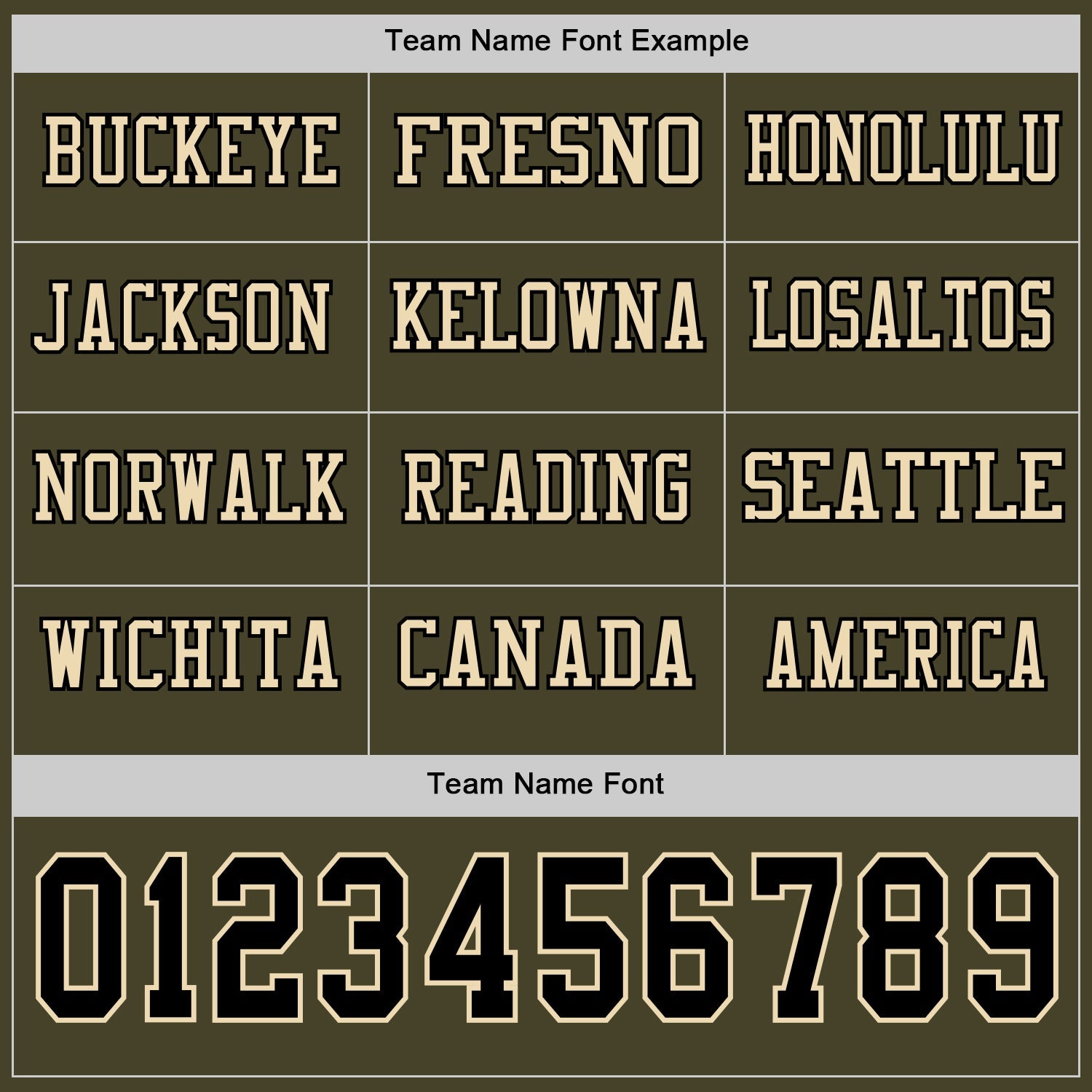 Custom Olive Black-Cream Long Sleeve Salute To Service Authentic Football Jersey