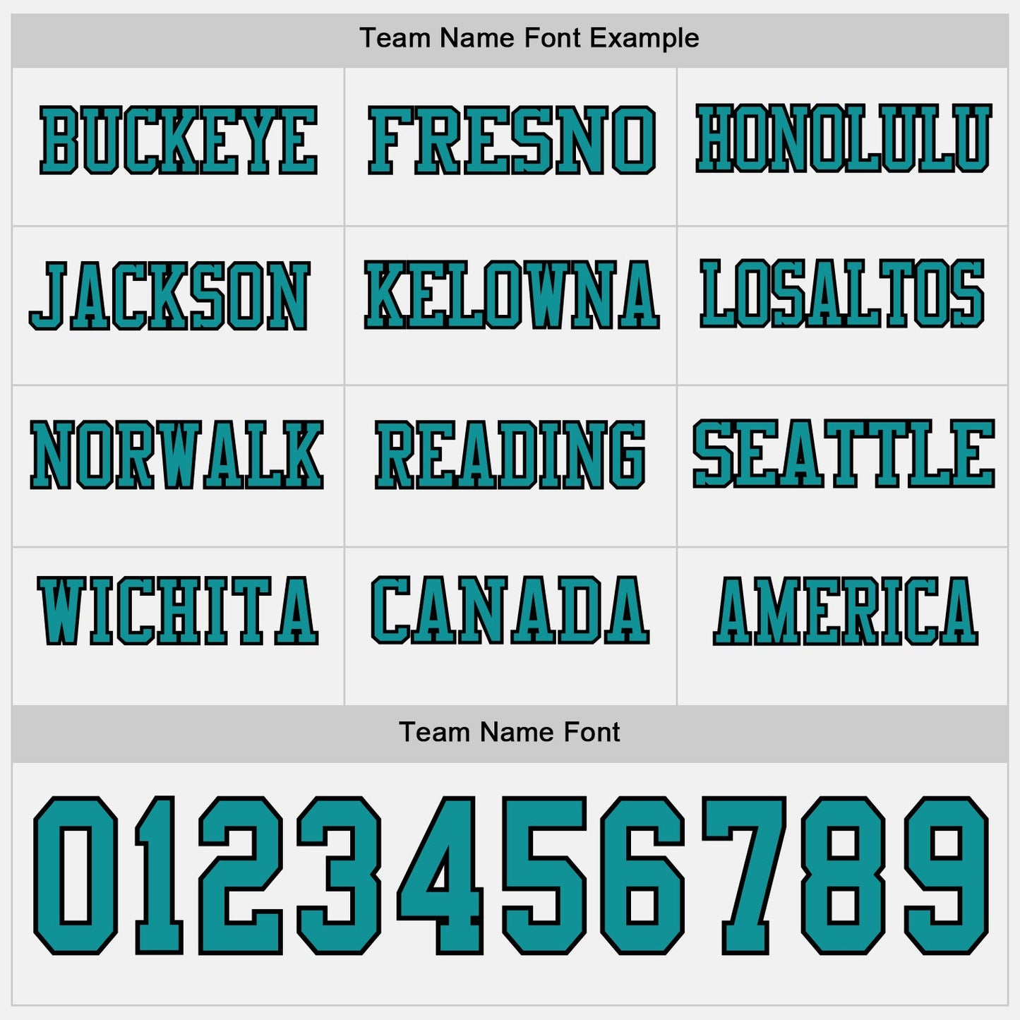 Custom White Teal-Black Long Sleeve Authentic Football Jersey