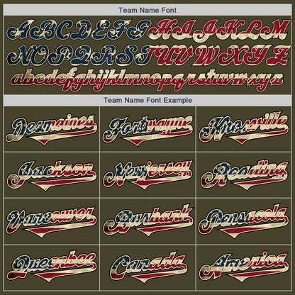 Custom Olive Vintage USA Flag-Black Authentic Two Tone Salute To Service Baseball Jersey